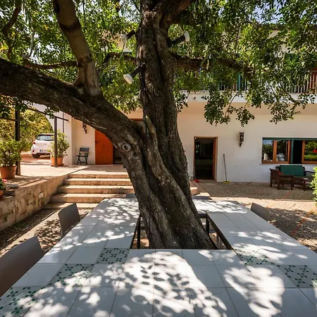 Casa Del Carrubo